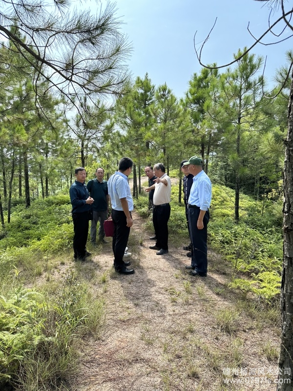 杨浦区学杨公风水跟陈荣昌老师实在